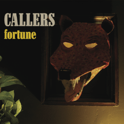callers_fortune